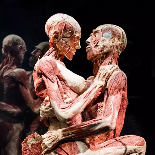 BODY WORLDS + Crociera sul canale di Amsterdam