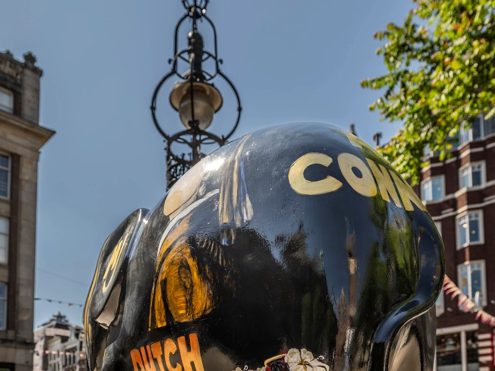 Why is Amsterdam filled with brightly painted elephants?