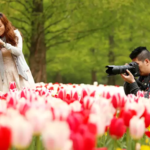 What to do at Keukenhof?