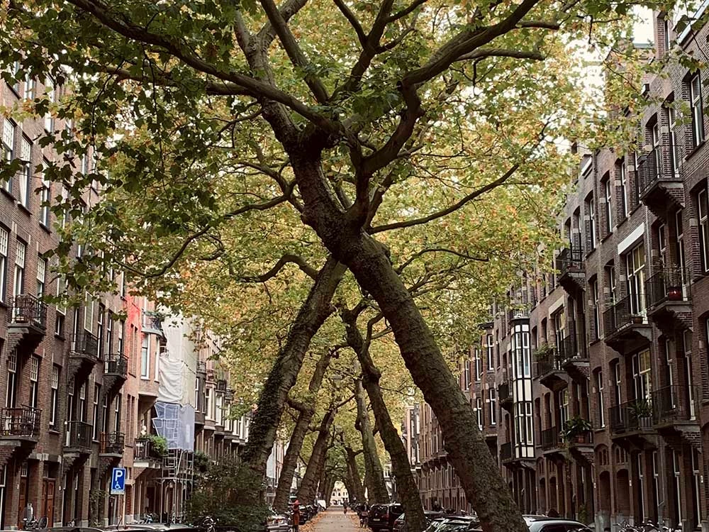 14 Best photo locations in Amsterdam