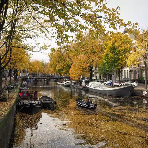 Great things to do in Amsterdam in autumn