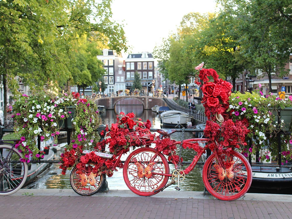 14 Best photo locations in Amsterdam