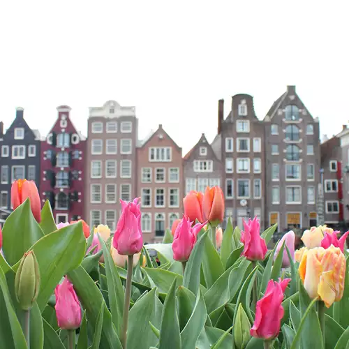 Discovering Amsterdam in spring: the best things to do