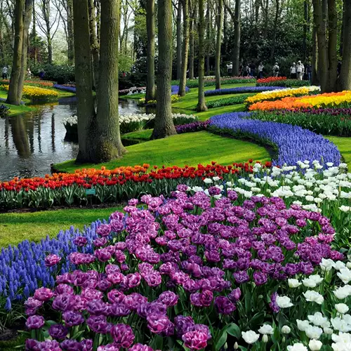 Keukenhof Tagesausflug von Amsterdam + Kostenlose Grachtenfahrt