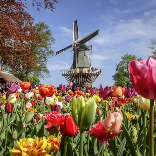 Keukenhof Gardens + Windmills & Countryside Tour