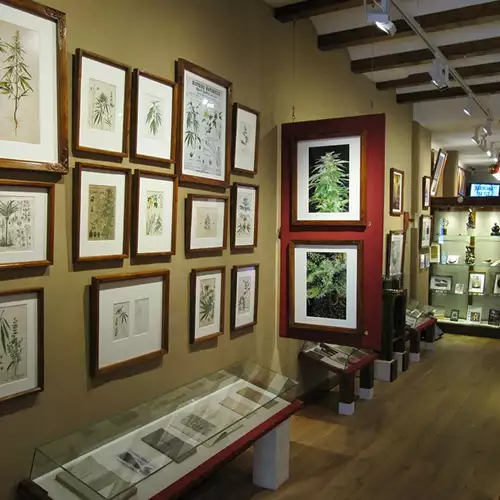 Hash Marihuana & Hemp Museum