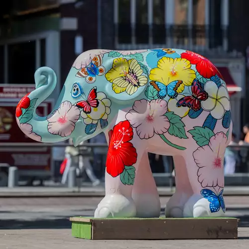 Why is Amsterdam filled with brightly painted elephants?