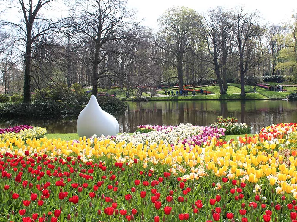 Fun facts about Keukenhof and tulip season