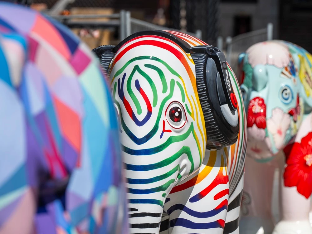 Why is Amsterdam filled with brightly painted elephants?