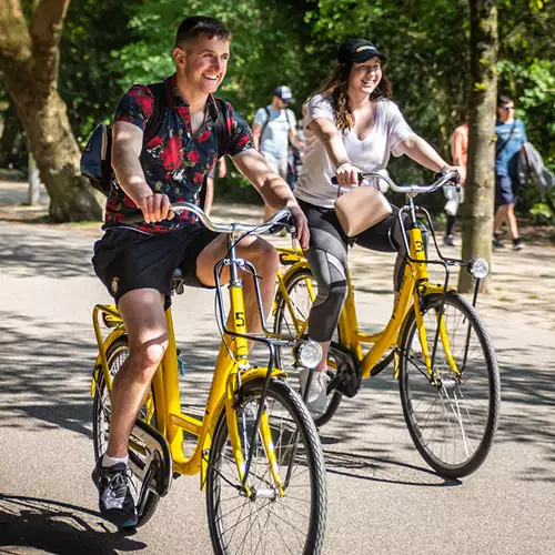 Amsterdam Bike Rental Yellow Bike