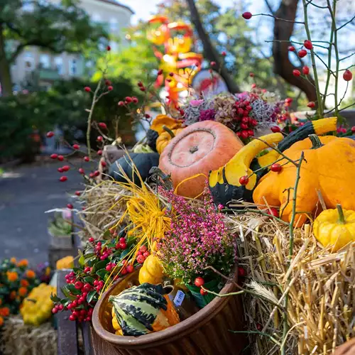 Autumn is the time for food festivals in Berlin