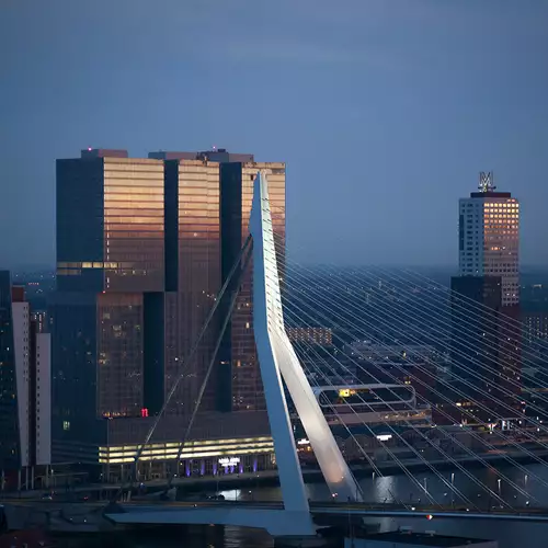How to spend 24 hours in Rotterdam