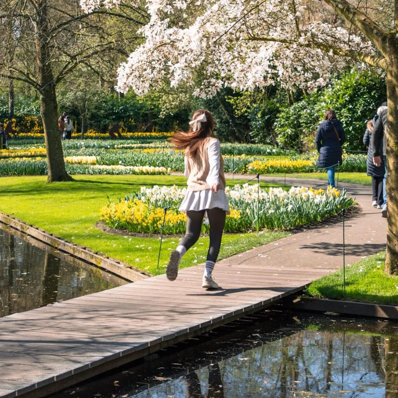 Blomstring Amsterdam () Blomstring Amsterdam