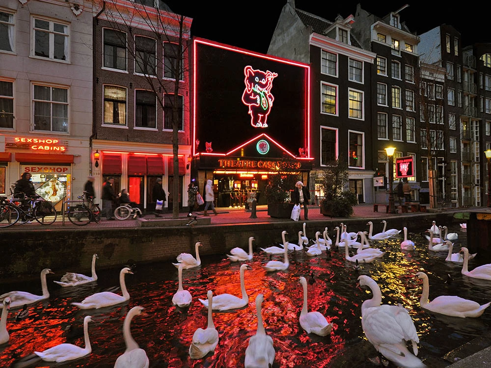 Explore the Red Light District in Amsterdam