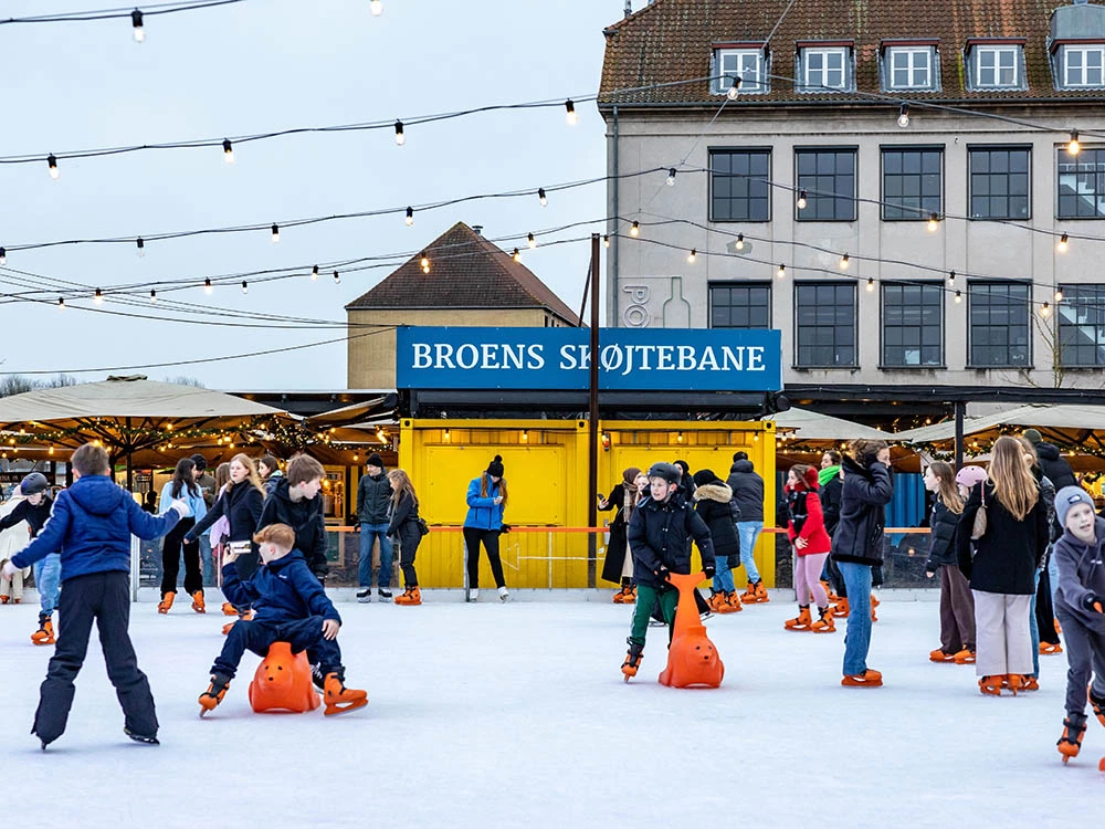 Experience Copenhagen in winter