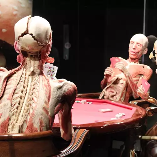 Body Worlds + Grachtenfahrt durch Amsterdam