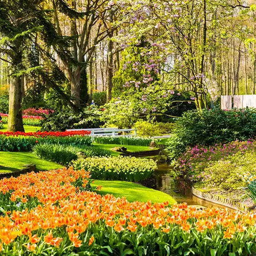 Keukenhof Gärten Eintritt + Amsterdam Kanalfahrt