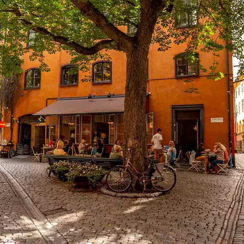 Stockholm’s best places to eat and what to order there